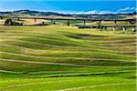 Farmland near Caltanissetta in Province of Caltanissetta, Sicily, Italy