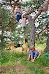 Group of young friends playing outdoors, climbing tree