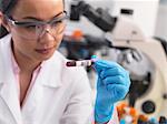 Scientist preparing clinical samples for medical testing in a laboratory