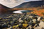 Rocks and autumn colours in Malaya Belaya River valley, Khibiny mountains, Kola Peninsula, Russia