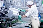 Male worker working in organic tofu production factory