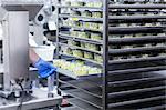 Male worker working in organic tofu production factory, mid section