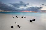 Caribbean sunset frames tree trunks on Ffryes Beach, Antigua, Antigua and Barbuda, Leeward Islands, West Indies, Caribbean, Central America