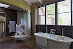 Home showcase soaking tub in luxury bathroom