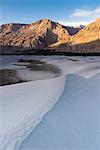 Sand dunes near the village of Sumur, Nubra Valley, Ladakh