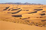 Niger, Agadez, Sahara Desert, Tenere. Sand dunes in the Tenere desert.