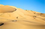 Niger, Agadez, Sahara Desert, Tenere, Arakaou. Visitors return from admiring the magnificent Arakaou sand dune in the Tenere Desert which stands about 385 m high.