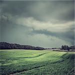 Dark Landscape with Field and Moody Sky. Gray Cloudscape. Toned Photo with Copy Space.