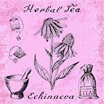 Echinacea hand drawn sketch botanical illustration. Vector drawing. Herbal tea elements - tea bag, bag, mortar and pestle. Medical herbs. Lettering in English languages. Grunge background