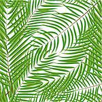 Beautifil Palm Tree Leaf  Silhouette Seamless Pattern Background Vector Illustration EPS10