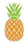 vector illustration of a pineapple isolated on white background