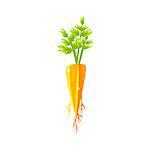 Fresh Carrot Primitive Realistic Illustration. Flat Bright Color Vector Icon Isolated On White Background.