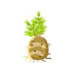 Fresh Turnip Primitive Realistic Illustration. Flat Bright Color Vector Icon Isolated On White Background.