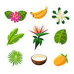 Tropical Plants And Fruits Set In Simple Realistic Cartoon Flat Vector Design Isolated On White Background