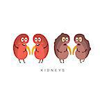Healthy vs Unhealthy Kidneys Infographic Illustration.Humanized Human Organs Childish Cartoon Characters On White Background