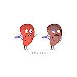 Healthy vs Unhealthy Spleen Infographic Illustration.Humanized Human Organs Childish Cartoon Characters On White Background
