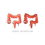 Healthy vs Unhealthy Large Intestine Infographic Illustration.Humanized Human Organs Childish Cartoon Characters On White Background