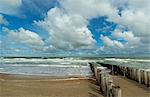 Wooden breakwater and seascape, Domburg, Zeeland, Netherlands