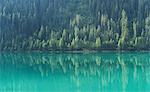 Pine trees reflected in mountain lake, St. Moritz, Canton Graubunden, Switzerland