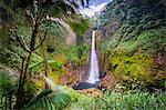 Catarata del Toro, wild waterfall in the rainforest, Costa Rica, Central America