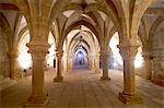 Czech Republic, Moravia, Trebic. The Crypt of St Procopius Basilica. Unesco.