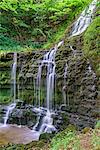 Europe, United Kingdom, England, North Yorkshire, Settle, Scaleber Force