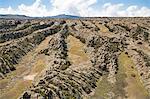 Ethiopia, Oromia Region, Bale Mountains, Sanetti Plateau, Rafu.  The weathered rock ridges at Rafu on the high-altitude Sanetti Plateau were caused by the erosion of lava outpourings by water, wind and ice over 20 million years.