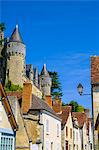 Chateau of Montresor castle, Indre-et-Loire, France, Europe