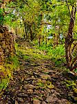 Portugal, Azores, Flores, Old Trail between Mosteiro and Lajedo.
