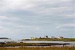 UK, Scotland, Outer Hebrides, North Uist.  Houses on the southwest shore of the island.