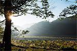 Taiwan, Taipei, Miaoli township, mountain scenery