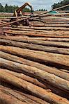 Logs, Kampala, Uganda, Africa