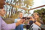 Mature friends in a circle making a red wine toast at garden party