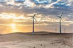 Wind turbines in desert landscape at sunset, Taiba, Ceara, Brazil
