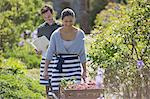 Smiling plant nursery worker pushing wheelbarrow with flowers in sunny garden