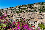 Flowering shrubs and overview of the historical city of Modica in the Province of Ragusa in Sicily, Italy