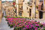 La Scala di Santa Maria del Monte during Infiorata, Caltagirone, Sicily, Italy