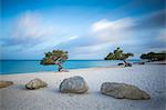 Divi Divi Trees on Eagle Beach, Aruba, Lesser Antilles, Netherlands Antilles, Caribbean, Central America