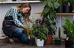 Side profile of a woman arranging plant in her shop