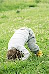 Child doing somersault in grass