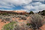 Scenic desert landscape, Utah, USA