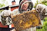 Beekeeper holding honeycomb