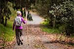 Mature woman goes for a hike along a leafy forest trail.