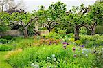 View across a garden with flower beds and trees in Oxfordshire.