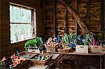 Tables of organic produce in a farm shop.