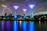 Supertree Grove in the Gardens by the Bay, a futuristic botanical gardens and park, illuminated at night, Marina Bay, Singapore, Southeast Asia, Asia