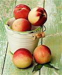 Heap of Perfect Ripe Small Nectarines in White Garden Bucket closeup on Cracked Wooden background