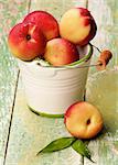 White Garden Bucket Full of Heap of Perfect Ripe Small Nectarines closeup on Cracked Wooden background