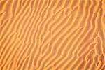 Ripples in the sand in the dunes of Dubai Desert Conservation Reseve, UAE