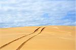 Vehicle tracks over a remote, deserted sand dune near Newcastle, New South Wales, Australia